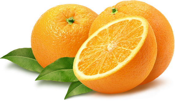 Fresh Oranges